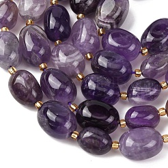 Natural Amethyst Beads Strands&nbsp;G-G453-D04-01