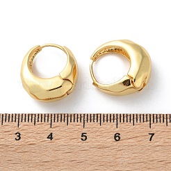 Brass Hoop Earrings&nbsp;EJEW-S249-04G