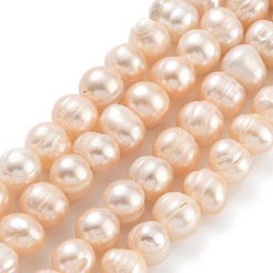 Natural Cultured Freshwater Pearl Beads Strands&nbsp;PEAR-C003-01B