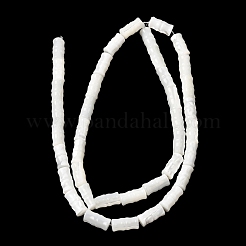 Natural Trochid Shell/Trochus Shell Beads Strands&nbsp;SHEL-A006-06A