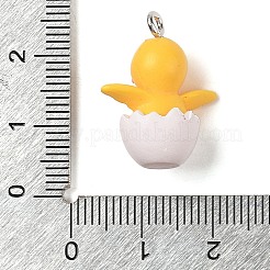 Opaque Resin Pendants&nbsp;RESI-S399-02
