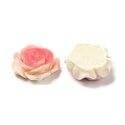 Opaque Resin Cabochons&nbsp;RESI-E051-04