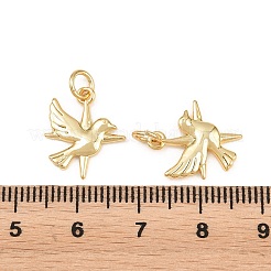 Brass Pendants&nbsp;KK-L275-58G-01