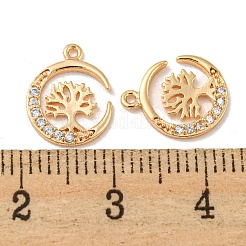 Brass Micro Pave Clear Cubic Zirconia Pendants&nbsp;ZIRC-R113-02G