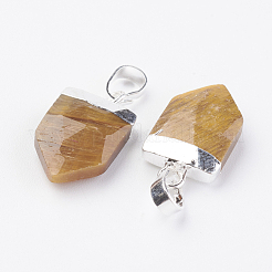 Natural Gemstone Pendants&nbsp;G-G737-15