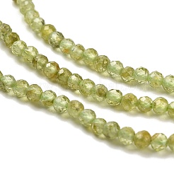 Natural Peridot Beads Strands&nbsp;G-B107-A06-01