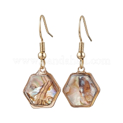 Natural Paua Shell Dangle Earrings&nbsp;EJEW-JE06274