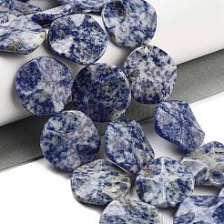 Natural Blue Spot Jasper Beads Strands&nbsp;G-Z061-B07-02