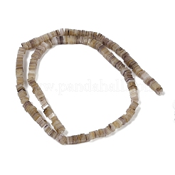 Handmade Lampwork Beads Strands&nbsp;LAMP-Q037-02A-05