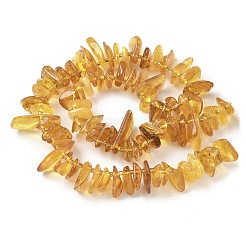 Natural Amber Beads Strands&nbsp;G-L095-D01-03