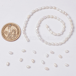 1 Strand Natural Cultured Freshwater Pearl Beads Strands&nbsp;PEAR-NB0001-44