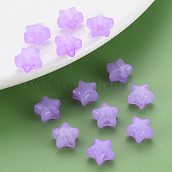 Imitation Jelly Acrylic Beads&nbsp;MACR-S373-45-E04