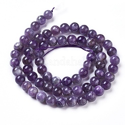 Natural Amethyst Round Bead Strands&nbsp;X-G-L170-6mm-03