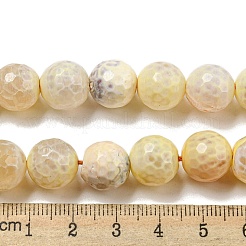 Faceted Natural Fire Crackle Agate Beads Strands&nbsp;G-F447-12mm-H02