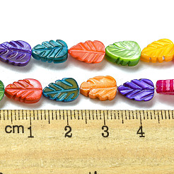 Natural Freshwater shell Beads Strands&nbsp;SHEL-H004-01