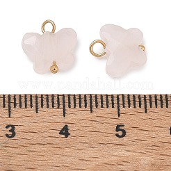 Natural Mixed Stone Pendants&nbsp;KK-D289-61G