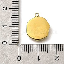 304 Stainless Steel Pendants&nbsp;STAS-R153-03G-05
