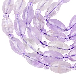 Natural Amethyst Beads Strands&nbsp;G-G453-C01-8x13mm