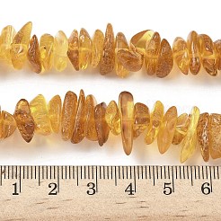 Natural Amber Beads Strands&nbsp;G-L095-D01-06