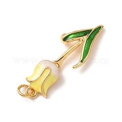 Brass with Enamel Pendants&nbsp;KK-CBA2F11-06G-02