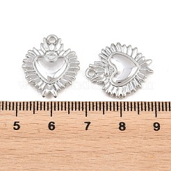 Valentine's Day Alloy Pendants&nbsp;PALLOY-T096-05P