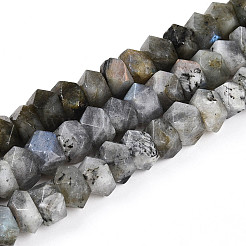 Natural Labradorite Beads Strands&nbsp;G-N347-09A-11