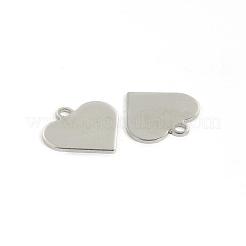 Tarnish Resistant 304 Stainless Steel Charms&nbsp;STAS-D431-27