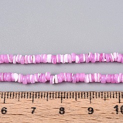 Natural Trochid Shell/Trochus Shell Beads Strands&nbsp;SSHEL-N040-21E