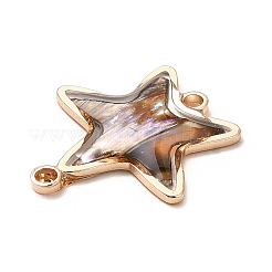Rack Plating Brass Enamel Connector Charms&nbsp;KK-K252-11G-02