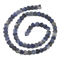 Natural Sodalite Beads Strands&nbsp;G-A272-A01-07