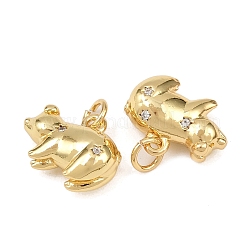 Brass Cubic Zirconia Pendants&nbsp;X-KK-L251-53G