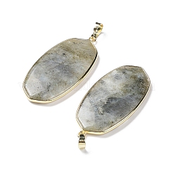 Natural Labradorite Pendants&nbsp;G-K338-05B