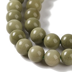Natural Alashan Agate Beads Strands&nbsp;G-P530-B05-02