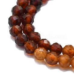 Natural Garnet Beads Strands&nbsp;G-P457-A03-27