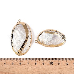 Natural Paua Shell Pendants&nbsp;SSHEL-N038-18B