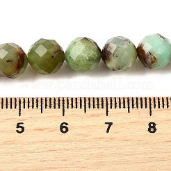 Natural Chrysoprase Beads Strands&nbsp;G-G259-D15-5mm