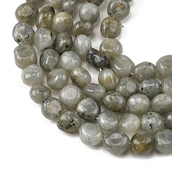Natural Labradorite Beads Strands&nbsp;G-P623-A03-02