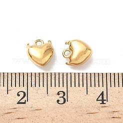 304 Stainless Steel Charms&nbsp;KK-D503-10G