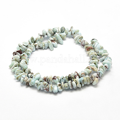 Natural Larimar Beads Strands&nbsp;G-P302-03