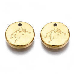 316 Surgical Stainless Steel Charms&nbsp;LS-STAS-S116-418F-G