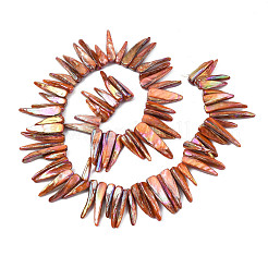 Electroplated Natural Freshwater Shell Beads&nbsp;SHEL-N026-197F