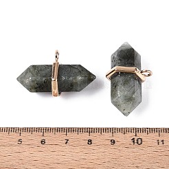 Natural Labradorite Double Terminal Pointed Pendants&nbsp;G-N345-09H