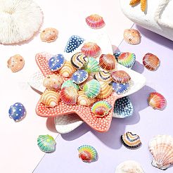 40Pcs 8 Colors Opaque Resin Cabochons&nbsp;RESI-CJ0004-35