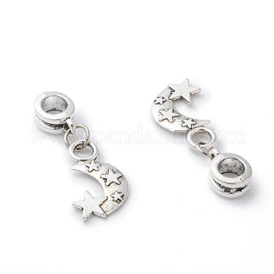 Alloy European Dangle Charms&nbsp;PALLOY-JF00001-14-1