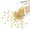 8/0 Glass Seed Beads, Silver Lined Round Hole, Round, Pale Goldenrod, 2~3x1.3~3mm, Hole: 0.8~1.2mm, about 10000pcs/pound