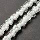 Handmade Lampwork Beads Strands&nbsp;LAMP-D015-08K-2