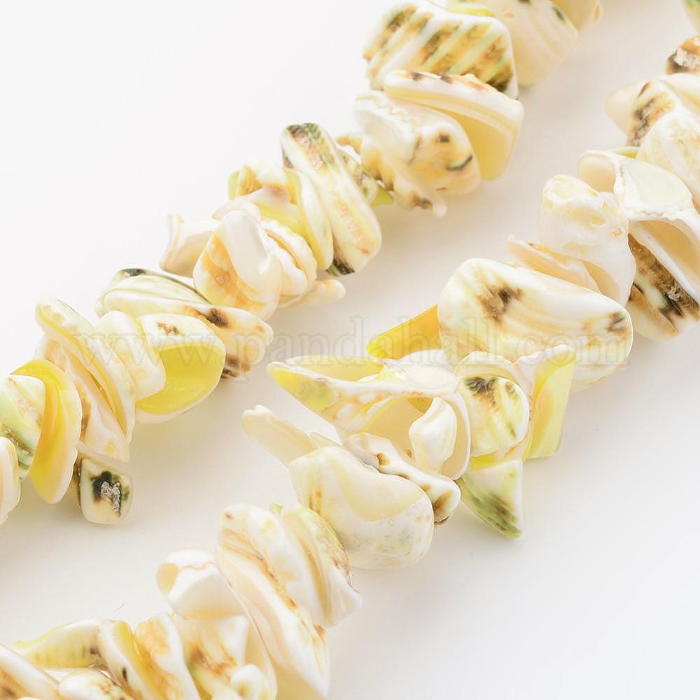 Wholesale Natural Shell Bead Strands - Pandahall.com