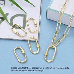 Brass Screw Carabiner Lock Charms&nbsp;ZIRC-E164-12G