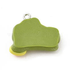 Opaque Resin Pendants&nbsp;CRES-B007-01A