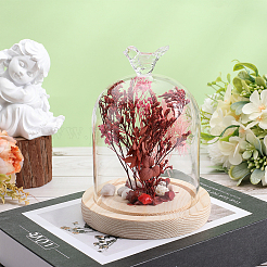 1Pc Glass Dome Cover&nbsp;AJEW-SC0002-61A